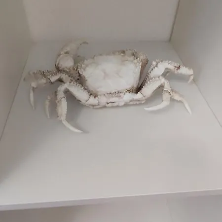 Casa Da Tia Ferrel (Leiria)